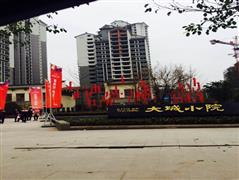 500GF自启动上海申动--大城小院小区